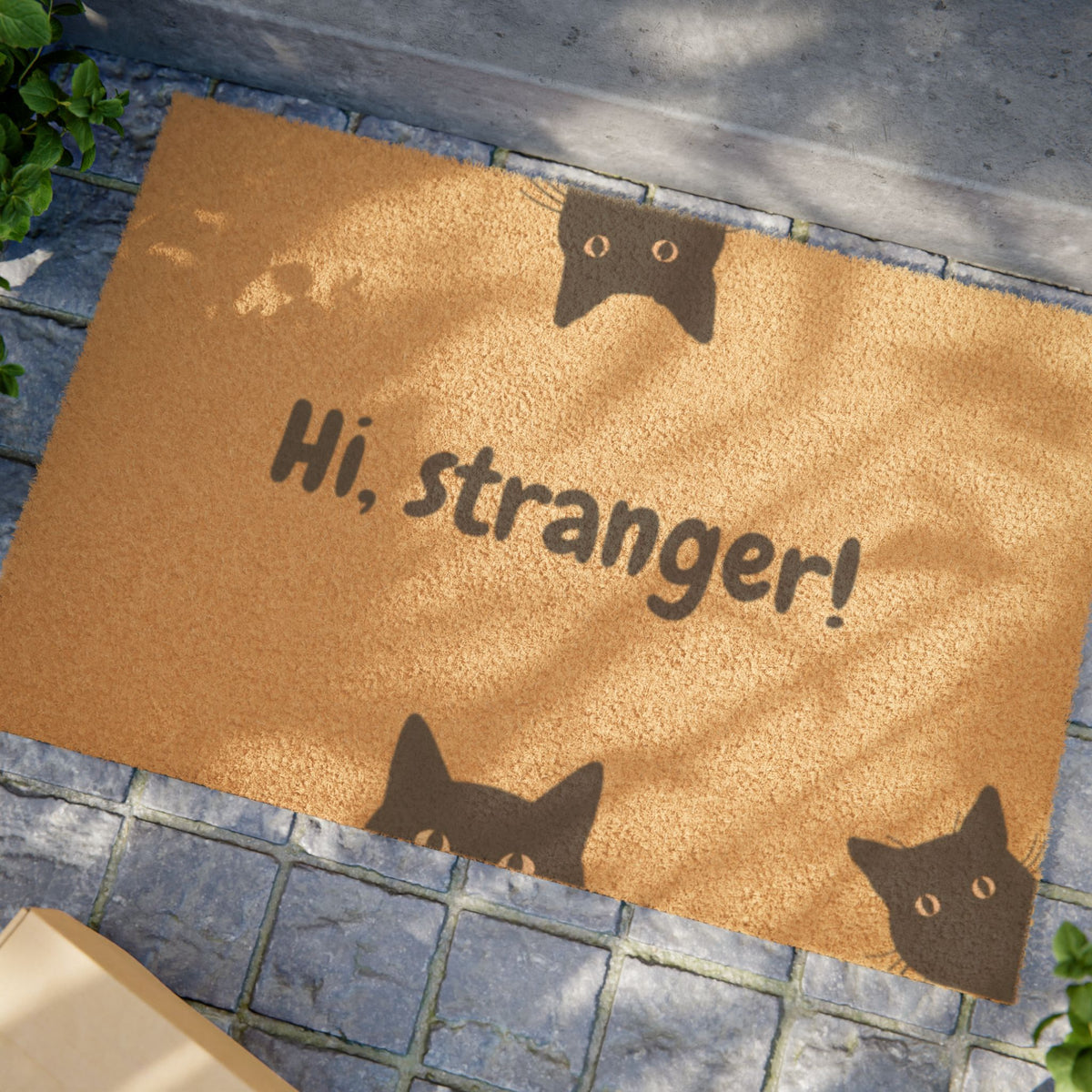 Hi, Stranger! Cat Doormat — Funny Welcome Coir Mat for Cat Lovers