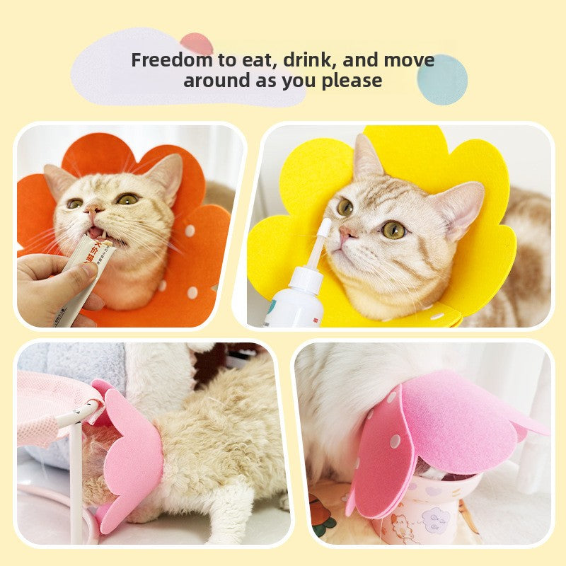 Cat Pet Collar