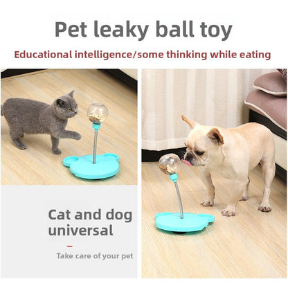 Throwing the cat a ball to distract it while avoiding feeding it
