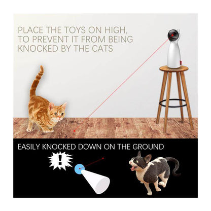 Smart Cat Teaser